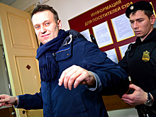 Сутяжник Навальный