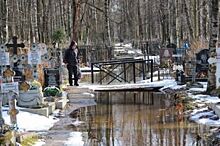 Прокуратура заинтересовалась потопом на Серафимовском кладбище