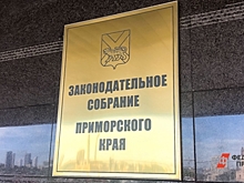 «Ничего личного»: в Приморском парламенте заменят руководителя ключевого комитета