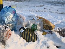 На проспекте Строителей местные не доносят мусор до контейнеров