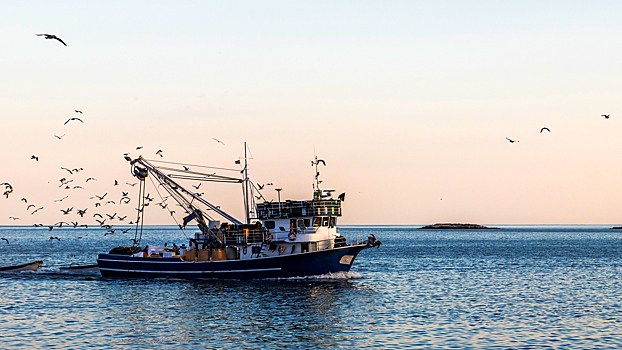 Малые и средние рыбопромышленники могут уйти с рынка
