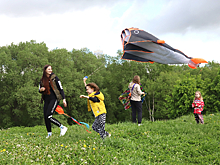 Лети, кит, лети. В долине Сетуни прошёл фестиваль воздушных змеев