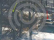 Водитель такси сбил пешехода с коляской на Саянской улице