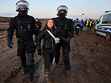 "Зеленые" против "зеленых": сражение за экологию в Западной Европе