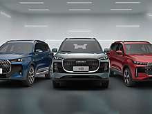 Раскрыт секрет популярности новой российской марки Tenet