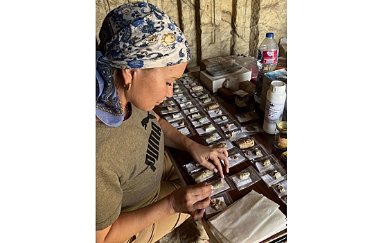 В Египте при раскопках обнаружили античную маску-талисман