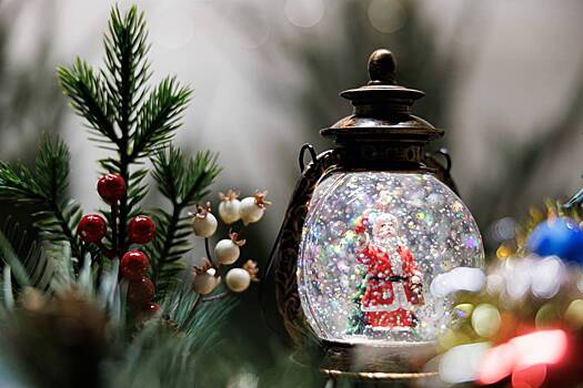 Минстрой ответил на идею штрафовать за елку в подъезде