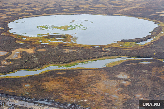 Депутат Ситников обсудил с участниками проекта «Время первых» перспективы туризма на Ямале