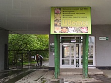 Ученые попросили екатеринбуржцев помочь сосчитать грызунов