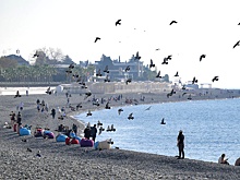 На Черноморском побережье Кубани открыли зимние пляжи