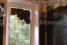 В Магнитогорске жильцы разгромили квартиру женщины и покрасили стены в черный