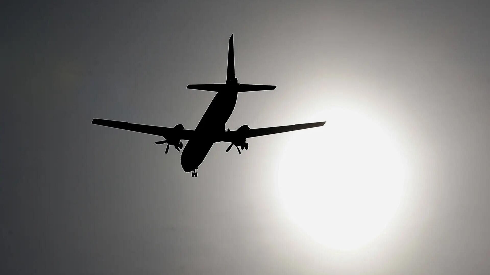 Собака задержала два самолета в аэропорту Новосибирска
