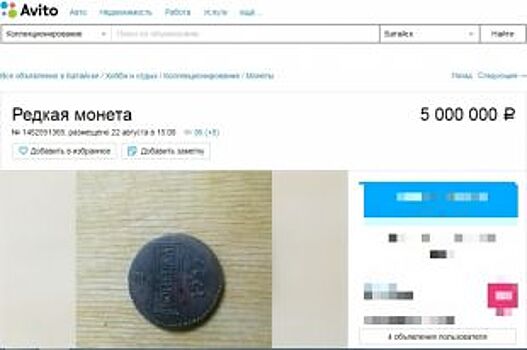 Копейка за 5 миллионов. В Ростове продают старинные монеты по цене квартиры