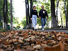 Когда в Нижегородскую область придёт бабье лето: прогнозы синоптиков