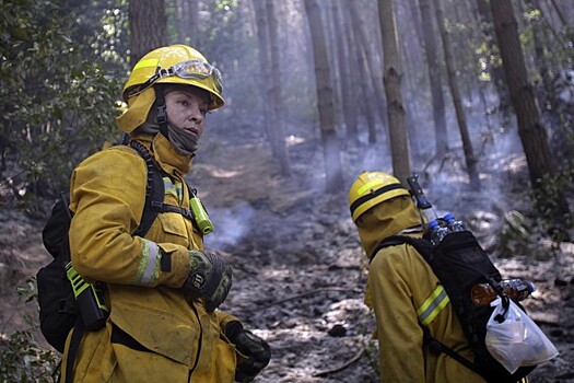 Лесной пожар уничтожил или повредил более 100 домов в чилийском городе Вальпараисо
