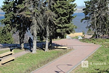 Набивные дорожки и погибшие ели заменят в нижегородском Александровском саду