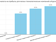 В Курской области снизили налог на прибыль для малых технологических компаний