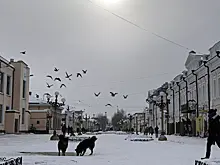 В Улан-Удэ к Новому году построят ледяной городок