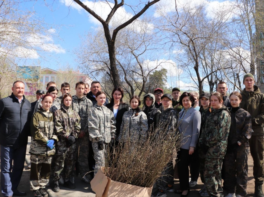 В Чите высадили 400 саженцев акации
