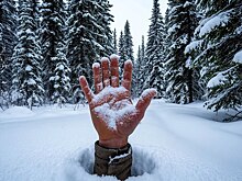 Новые данные об исчезновении Усольцевых. Камень желаний заманивает туристов в тайгу, и они не возвращаются