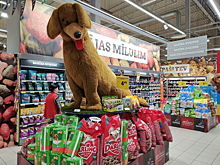 Россельхознадзор призвал Белоруссию запретить ввоз запрещенных кормов