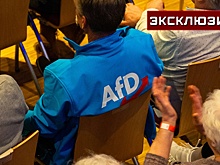 Немецкий политик объяснил, почему в ФРГ назвали АдГ «правоэкстремистской»