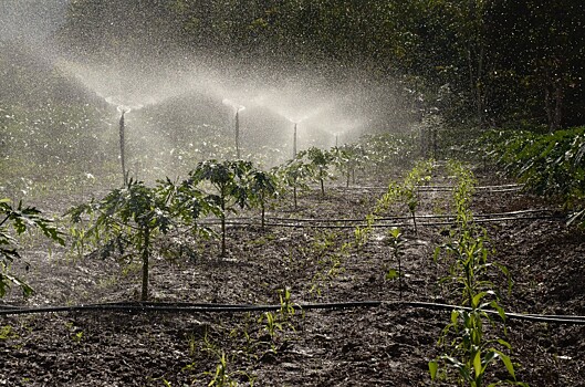 Ученые ВятГУ создали удобрение для засоленных почв