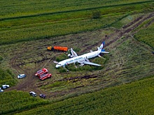 Стало известно об отказе суда закрывать свалку у Жуковского