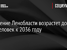 Население Ленобласти возрастет до 2 млн человек к 2036 году