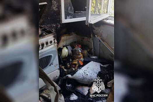 В Набережных Челнах пенсионерка чуть не сгорела из-за микроволновки