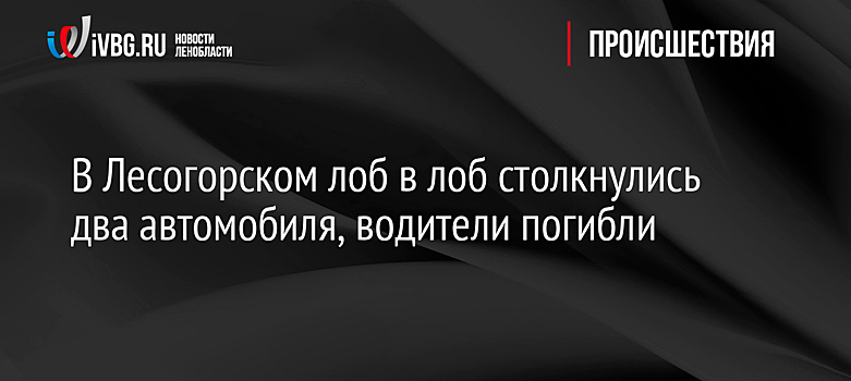 В Лесогорском лоб в лоб столкнулись два автомобиля, водители погибли
