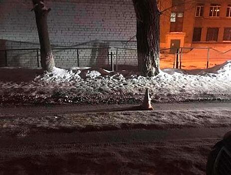 В Самаре под колесами иномарки пострадал школьник, который выбежал из-за дерева