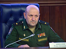 МО РФ: распространение птичьего гриппа в РФ тревожит после экспериментов на Украине