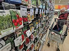 ФАС согласовала цены на дженерик для терапии болезней Альцгеймера и Паркинсона на 11% дешевле оригинала