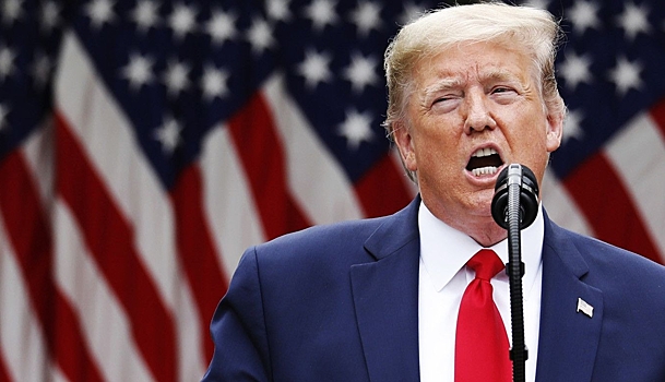 Трамп дал оценку Хамзату Чимаеву