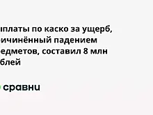 Выплаты по каско за ущерб, причинённый падением предметов, составил 8 млн рублей