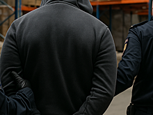 Во Владимирской области раскрыто крупное хищение товаров через фиктивные логистические услуги
