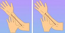 Узнайте особенности характера по размеру кисти руки