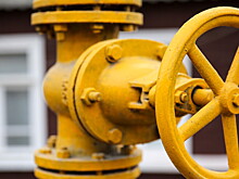 Догазификация в России: почти 60 тысяч частных домов Ленобласти планируют подключить к газу