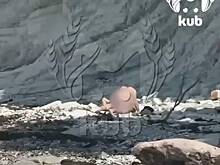 Туристы занялись сексом на пляже курортного города России и попали на видео