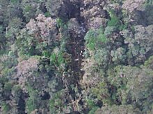 Найдены тела 38 погибших при авиакатастрофе в Индонезии