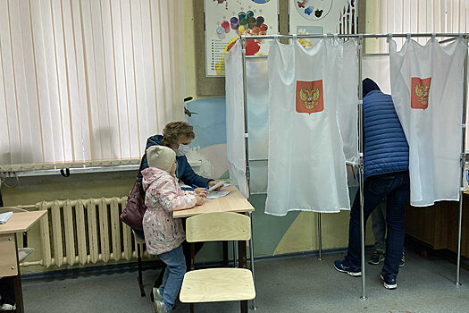 Более 30 процентов жителей СЗФО проголосовали на выборах