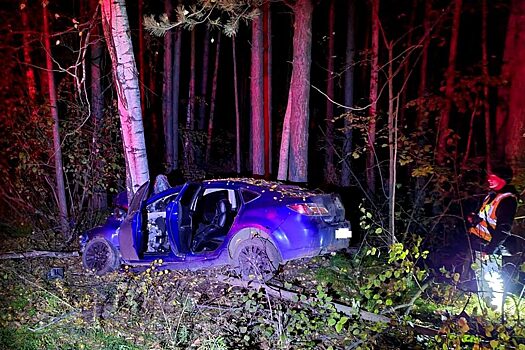 2 человека погибли после столкновения автомобиля с деревом в Енисейском районе