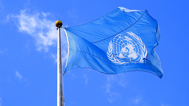 Помощник генсека ООН по гуманитарным вопросам уволилась