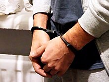 Адвокат рассказал о единственном ограничении для фаната Косова после освобождения из французской тюрьмы