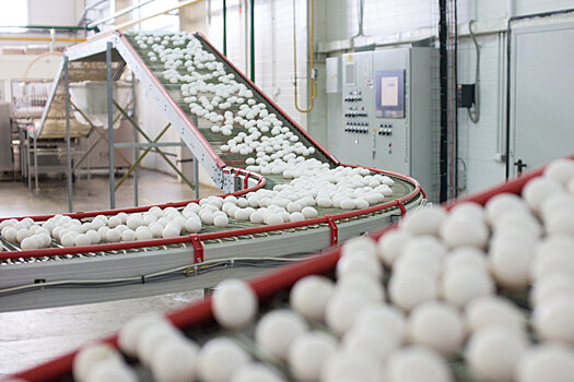 Экспорт яичной продукции из Мордовии вырастет на четверть