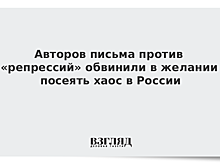 Авторов письма против «репрессий» обвинили в желании посеять хаос в России