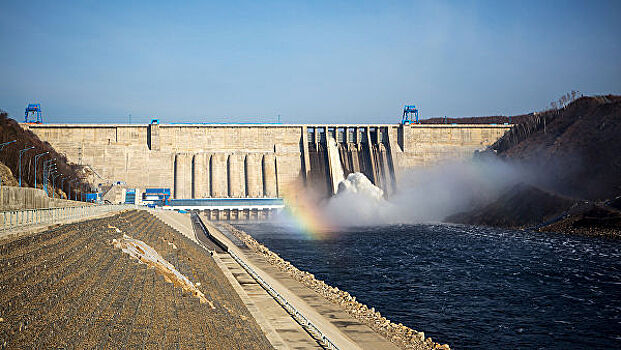 В WWF не считают крупные российские ГЭС экологичными