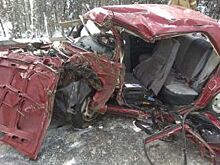 На трассе в Прикамье грузовик с полуприцепом занесло и выкинуло на ВАЗ