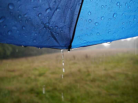 В Новосибирской области похолодает до -3 градусов. Летом